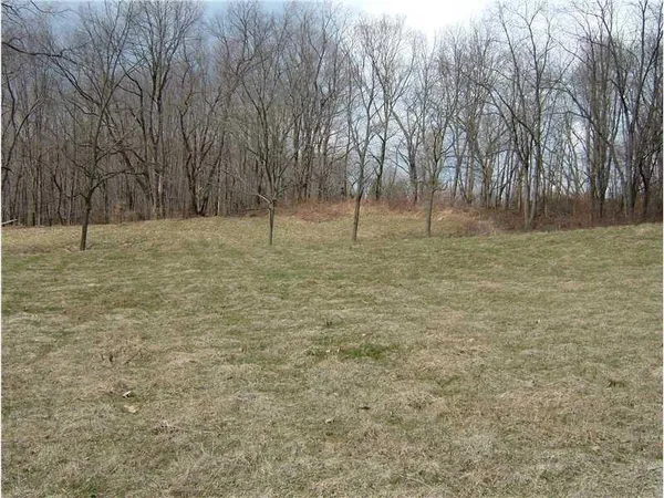 a view of a yard with trees
