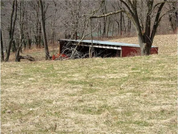 a view of a backyard with a large tree