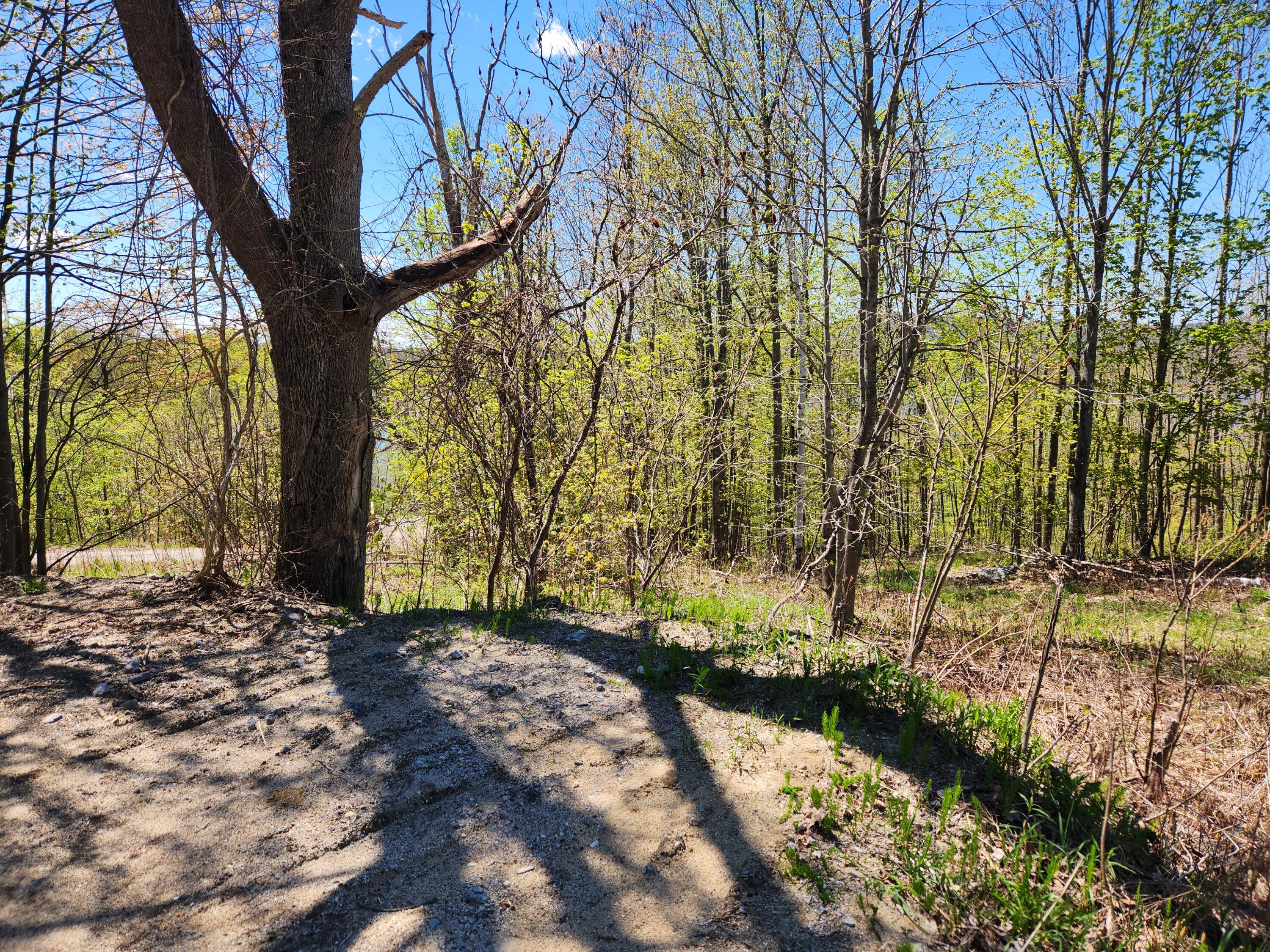 286 Staples Hill Road Canton, ME 04221 - Photo 66 of 118 20260516_135008