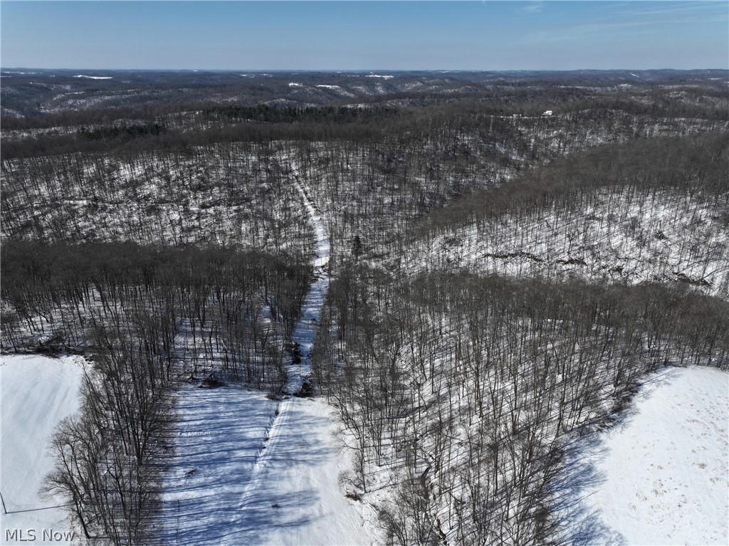 0 Tract 4 Twp Road Woodsfield, OH 43793 - Photo 4 of 34 Snowy aerial view with a forest view