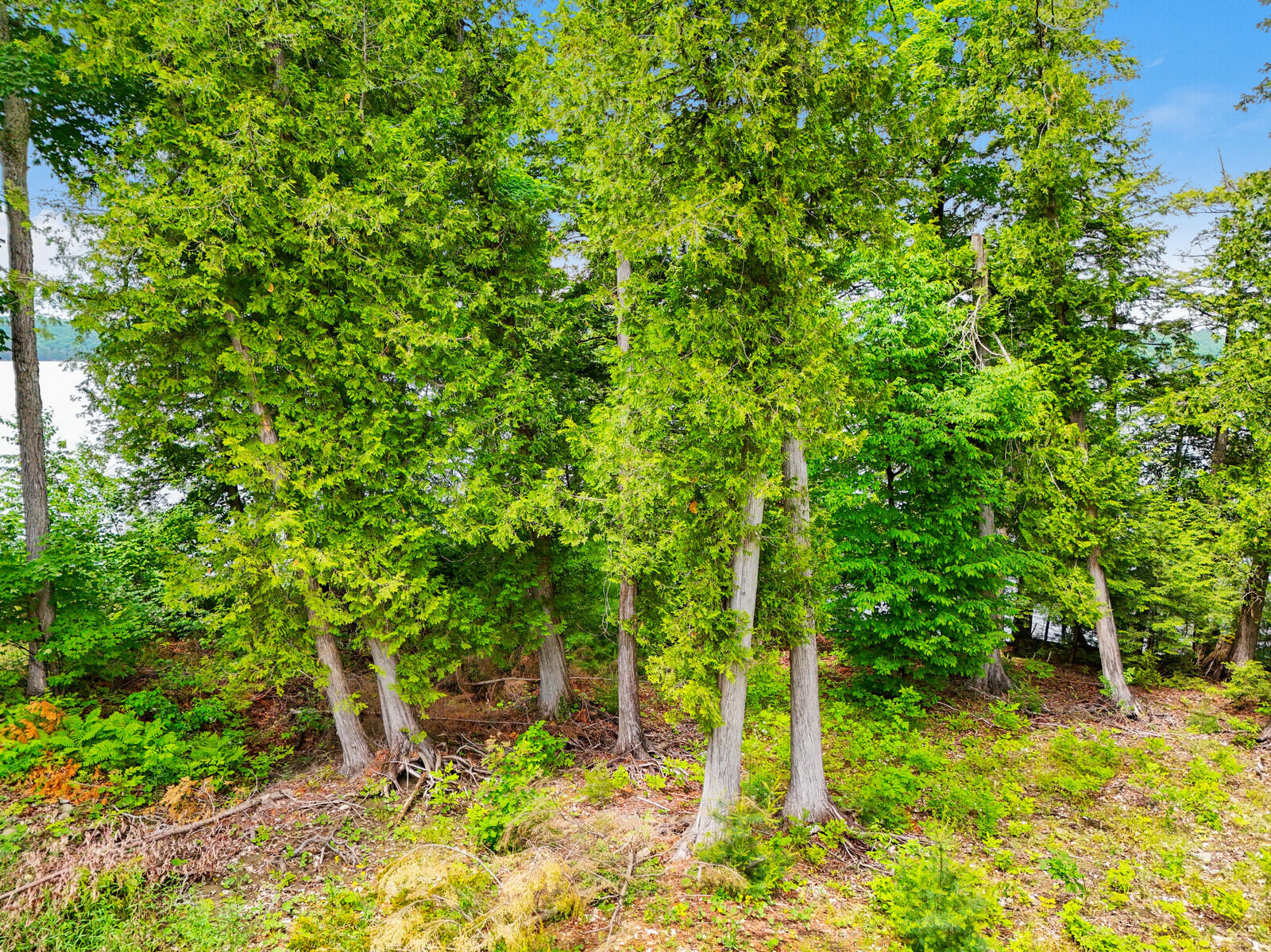 40 Heather Lane Sidney, ME 04330 - Photo 8 of 25 06_DJI_20240612122746_0092_D_DxO_mls