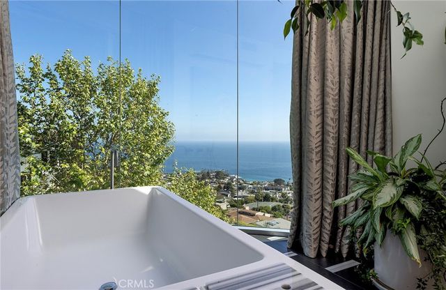 a close up of a plant in a garden