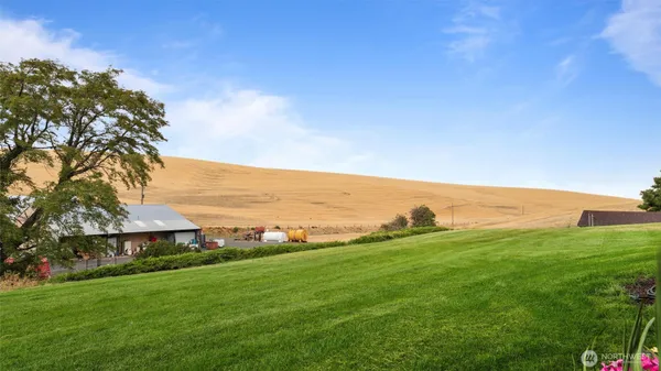 a view of a beach with a big yard
