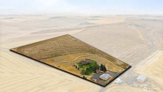 a view of a swimming pool with an outdoor space
