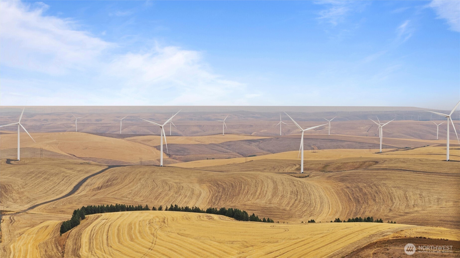 338 East Bramhall Road Dayton, WA 99328 - Photo 39 of 40