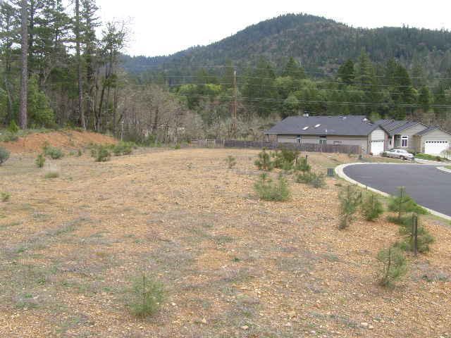 341 Cedar Ridge Drive Cave Junction, OR 97523 - Photo 5 of 21 Lot view 4