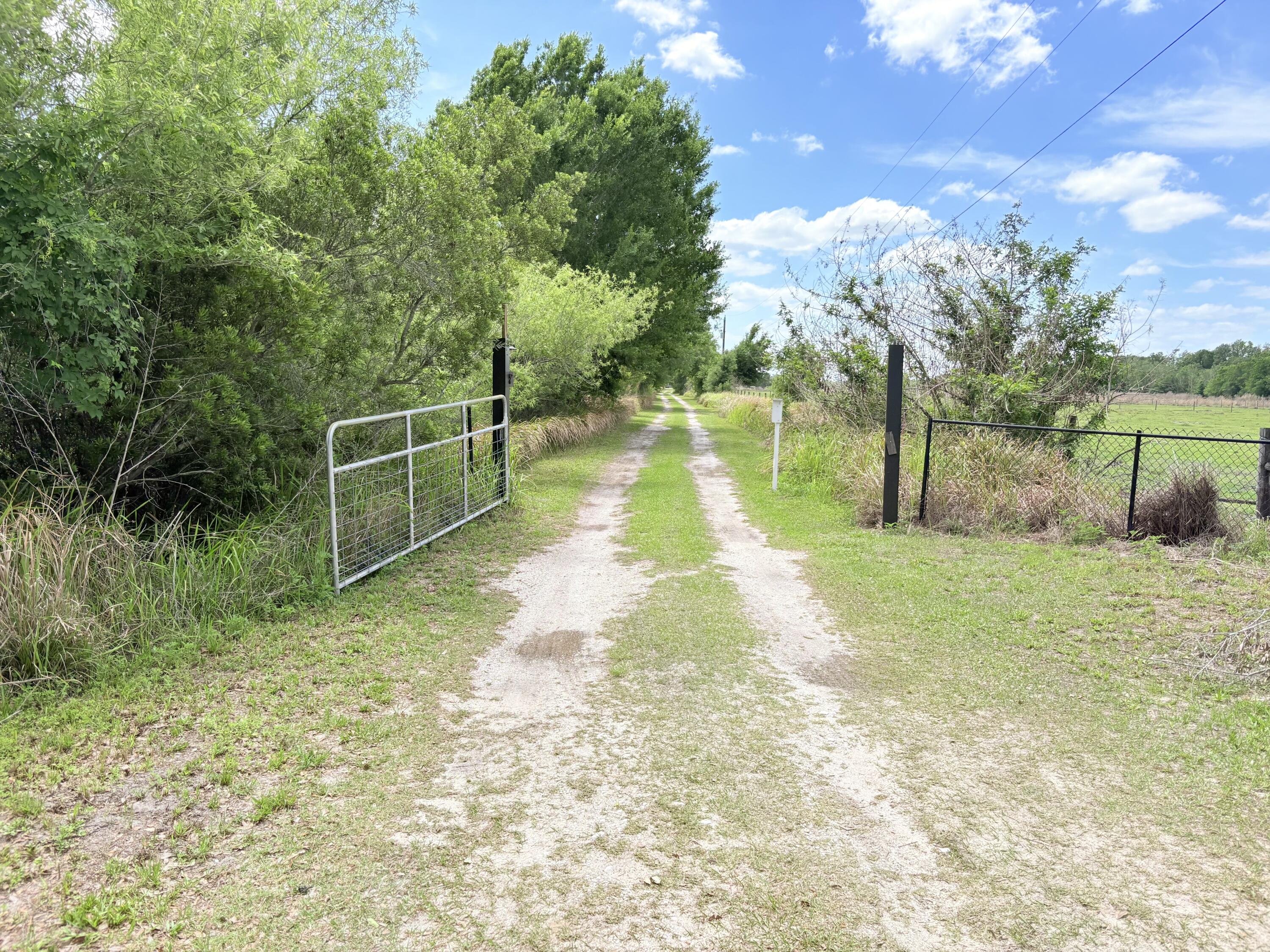 8700 West Josephine Road Sebring, FL 33875 - Photo 56 of 59 IMG_7109