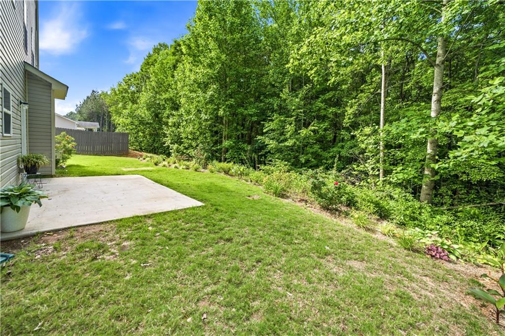 291 Boulder Run Hiram, GA 30141 - Photo 36 of 46 a view of a backyard