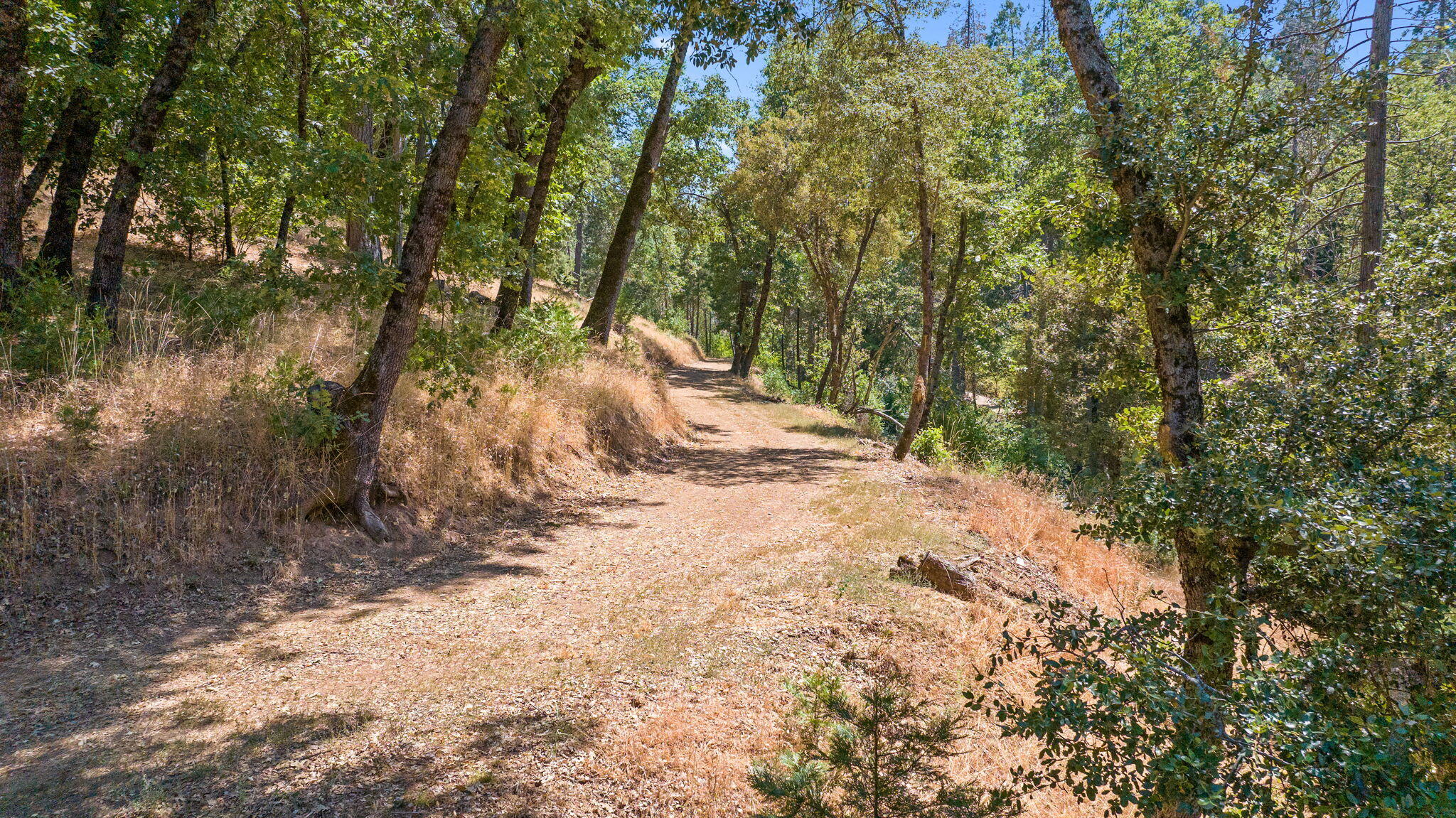48675 Todd Eymann Road Miramonte, CA 93641 - Photo 92 of 103 91-web-or-mls-59-print-DJI_2024080514384