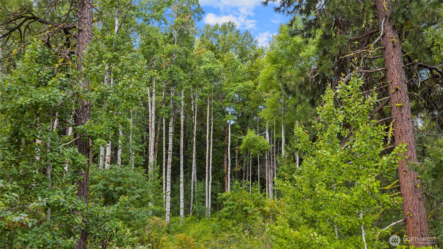 1111 Old Cedars Road Cle Elum, WA 98922 - Photo 31 of 31 a view of a garden