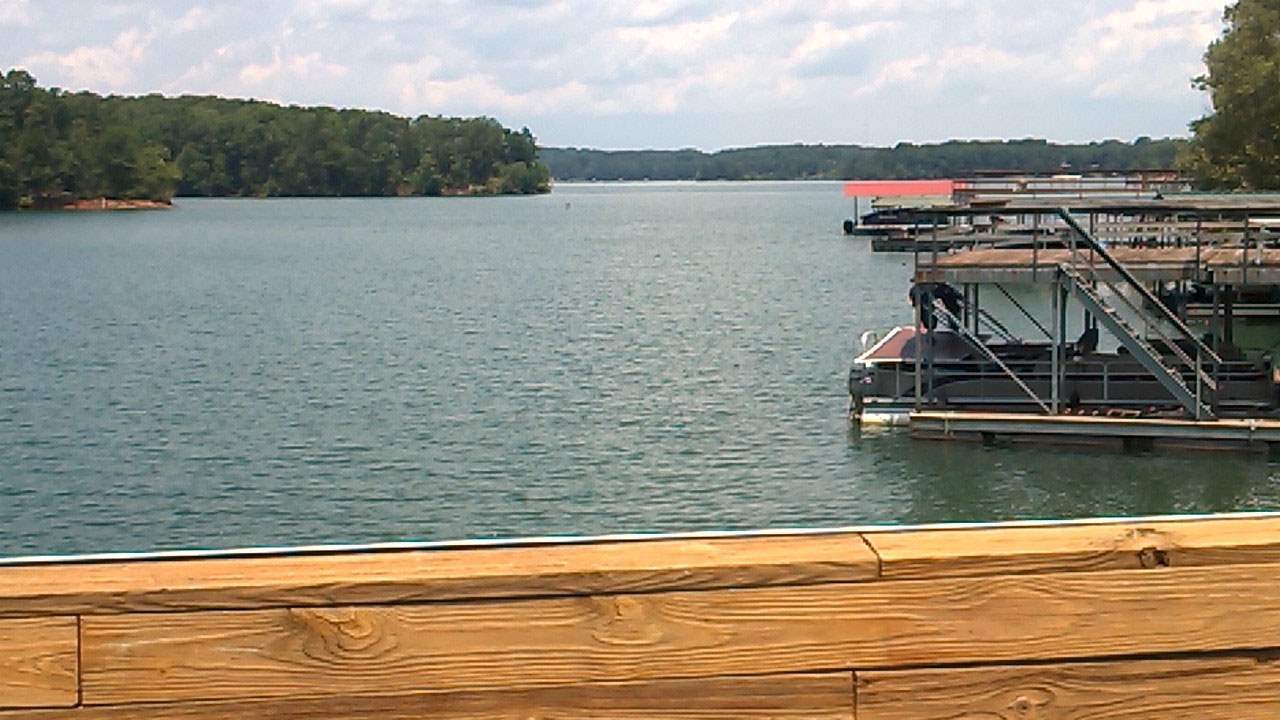 Lot 1 Reed Creek Point Hartwell, GA 30643 - Photo 5 of 8