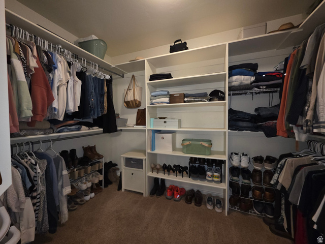387 North Loafer Canyon Road Payson, UT 84651 - Photo 39 of 94 Owner's walk-in Custom closet system featuring extensive shelving, multiple hanging rods, and integrated shoe storage