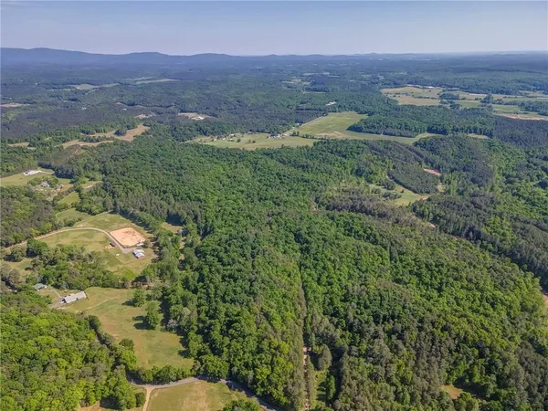 an aerial view of green landscape with trees houses and mountain view