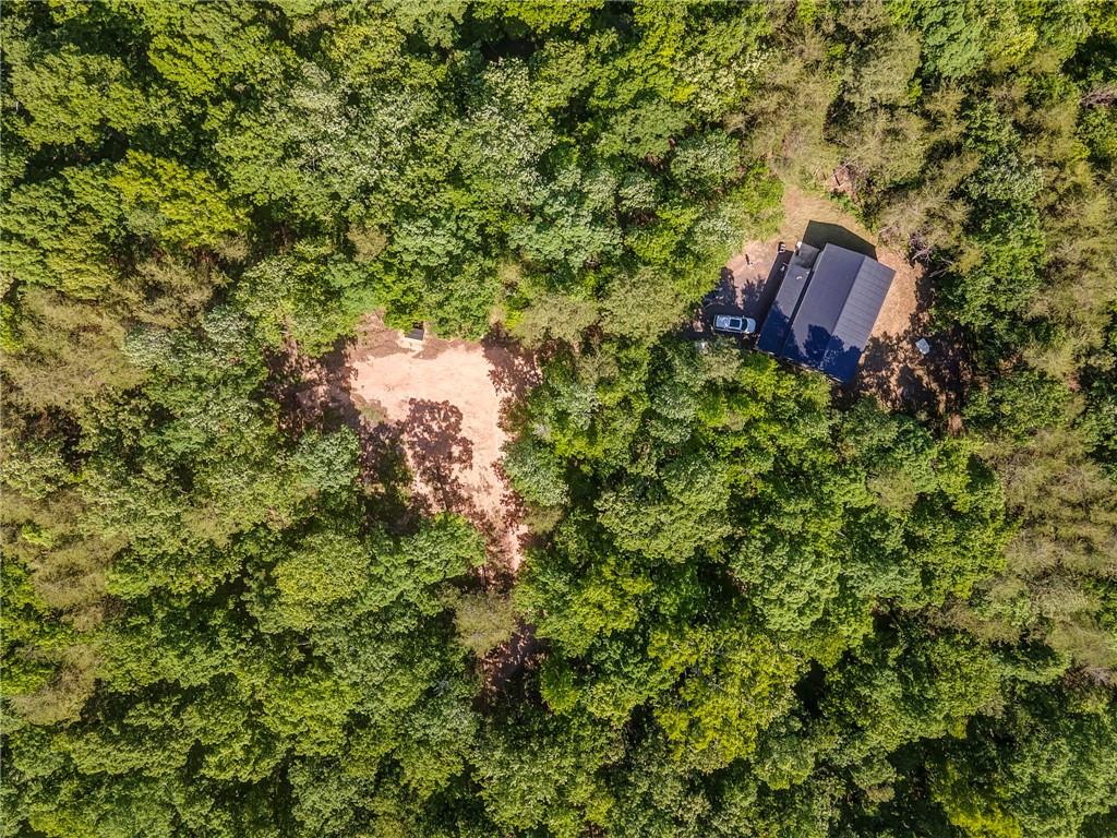 410 Pine Hill Road Southeast Rydal, GA 30171 - Photo 2 of 27