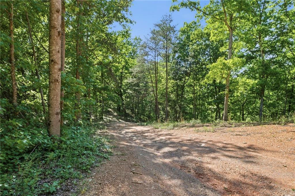 410 Pine Hill Road Southeast Rydal, GA 30171 - Photo 23 of 27