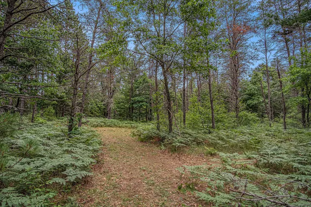 $59,500 | 4177 South Michway, Baldwin, MI 49304