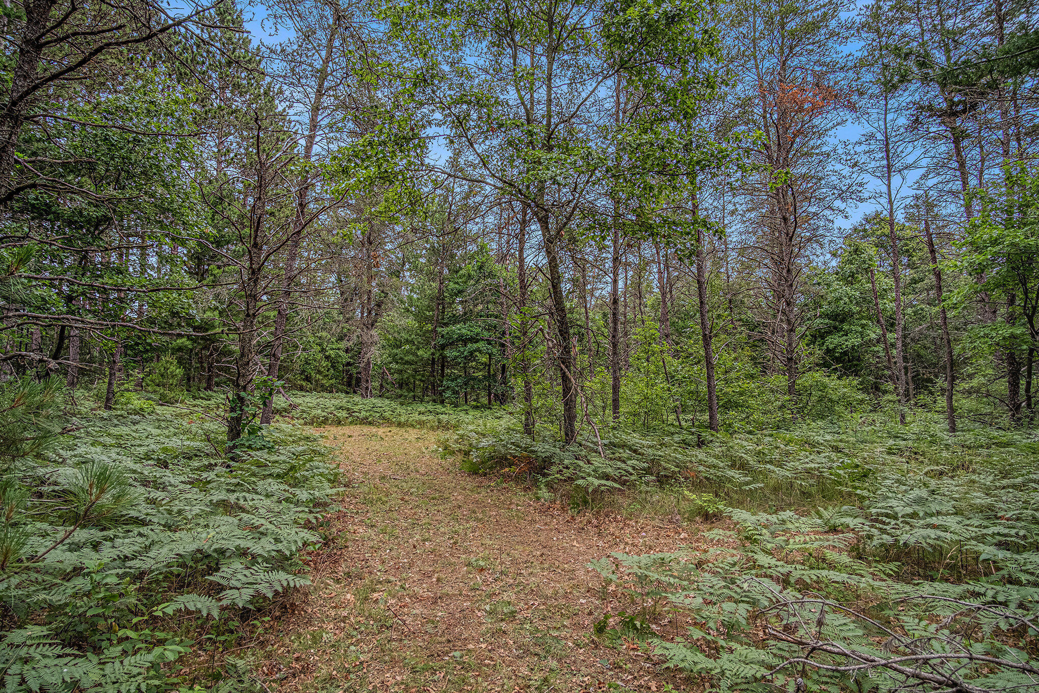 4177 South Michway Baldwin, MI 49304 - Photo 11 of 35 file_810