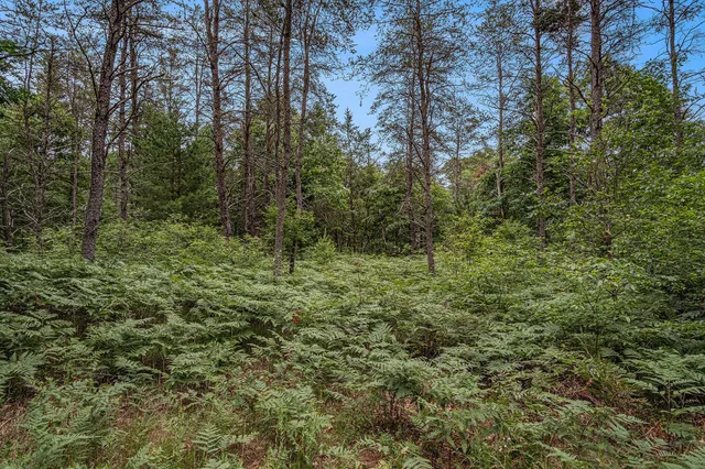 $59,500 | 4177 South Michway, Baldwin, MI 49304