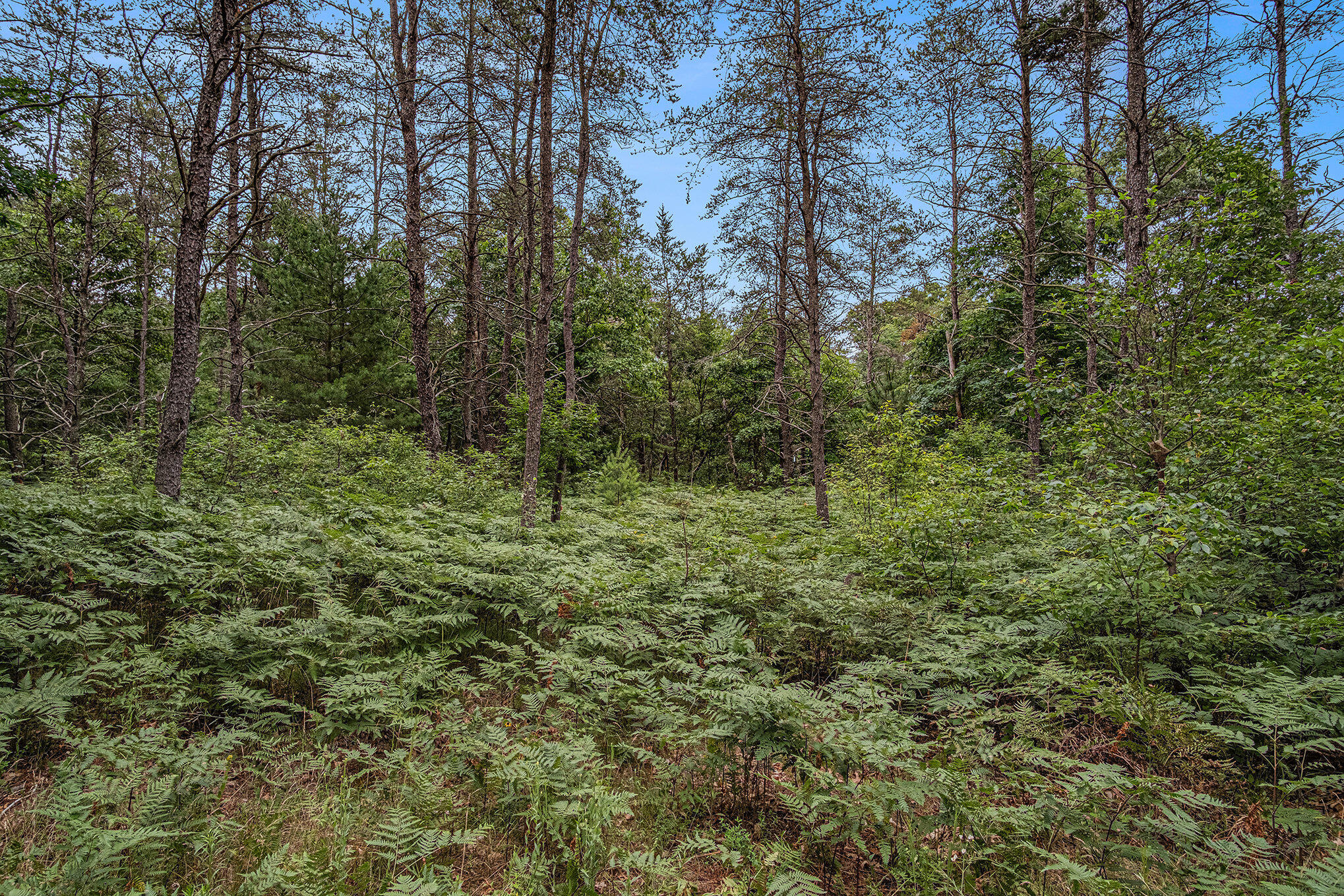 4177 South Michway Baldwin, MI 49304 - Photo 12 of 35 file_15