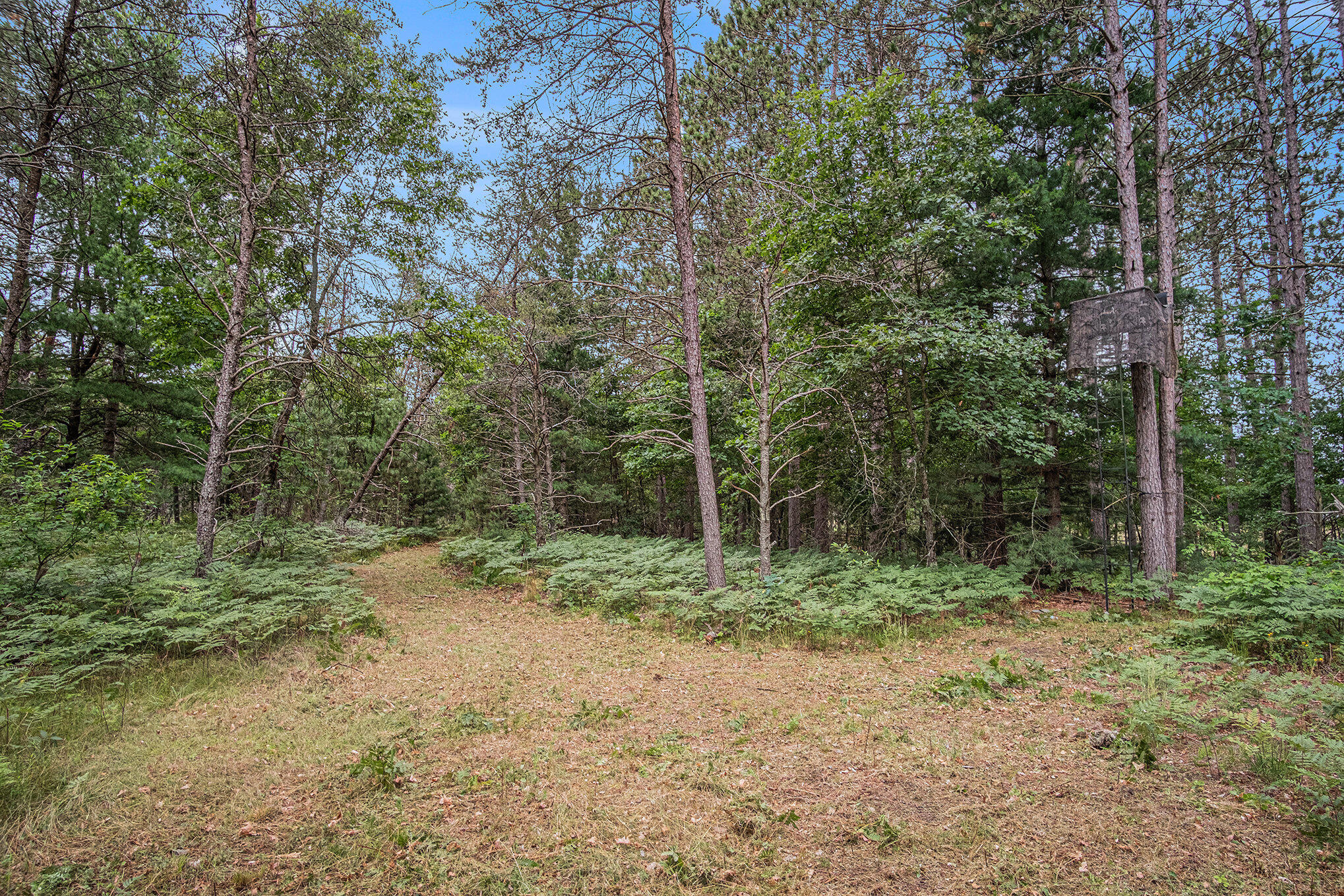 4177 South Michway Baldwin, MI 49304 - Photo 13 of 35 file_683