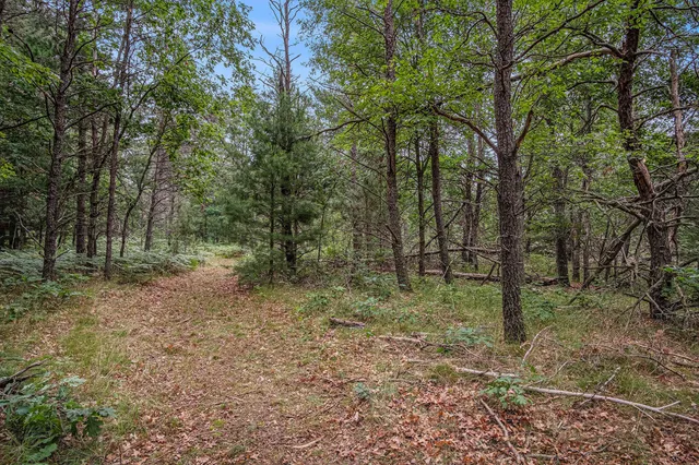 $59,500 | 4177 South Michway, Baldwin, MI 49304