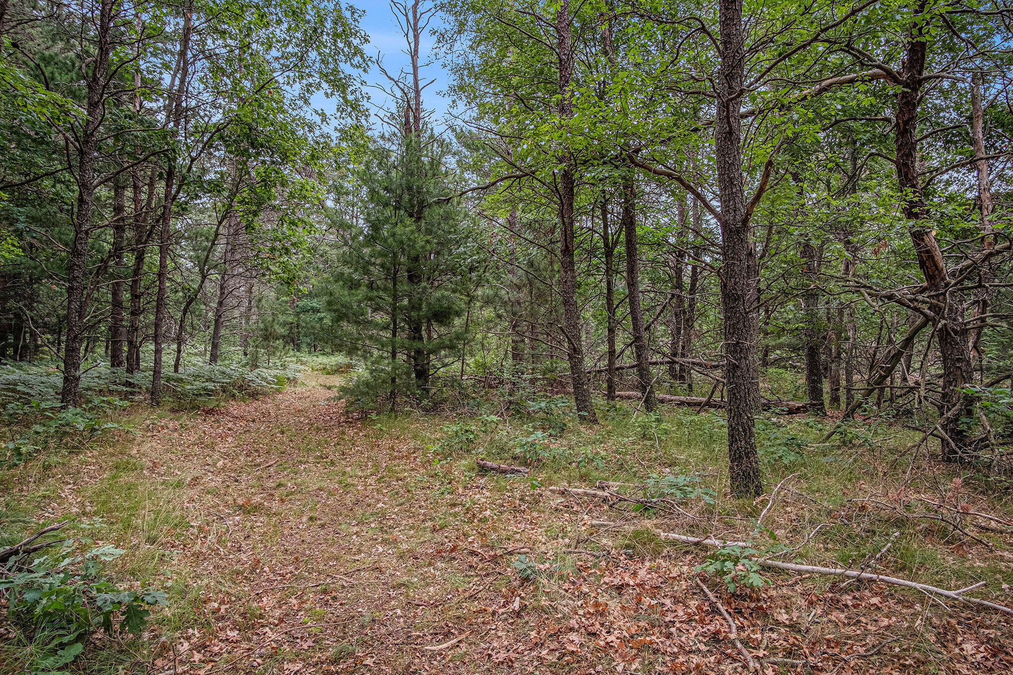 4177 South Michway Baldwin, MI 49304 - Photo 14 of 35 file_153