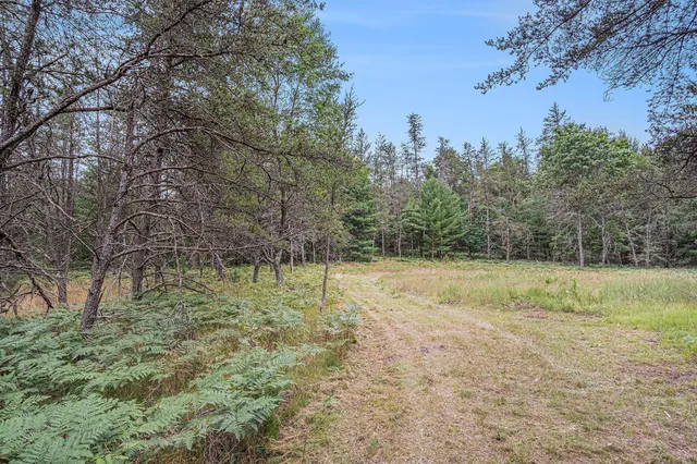 $59,500 | 4177 South Michway, Baldwin, MI 49304