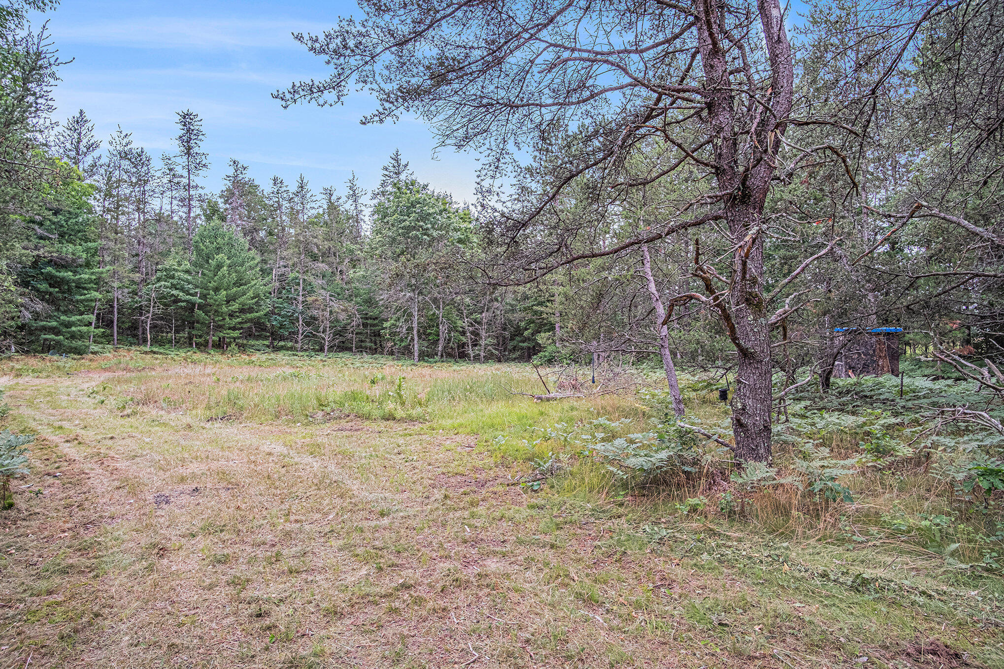 4177 South Michway Baldwin, MI 49304 - Photo 16 of 35 file_787