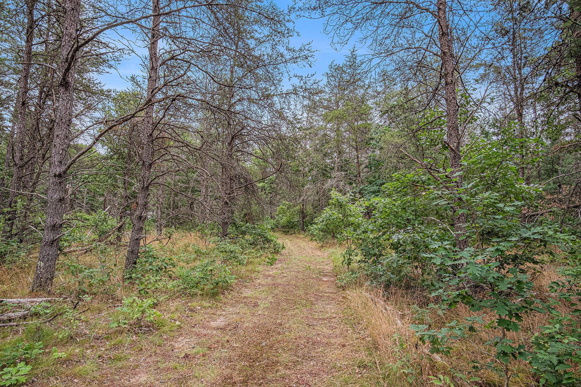 4177 South Michway Baldwin, MI 49304 - Photo 17 of 35 file_290