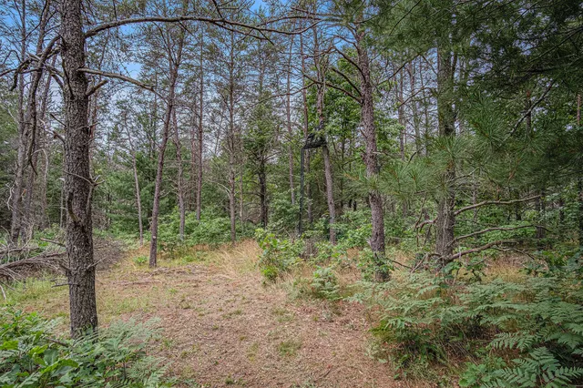 $59,500 | 4177 South Michway, Baldwin, MI 49304