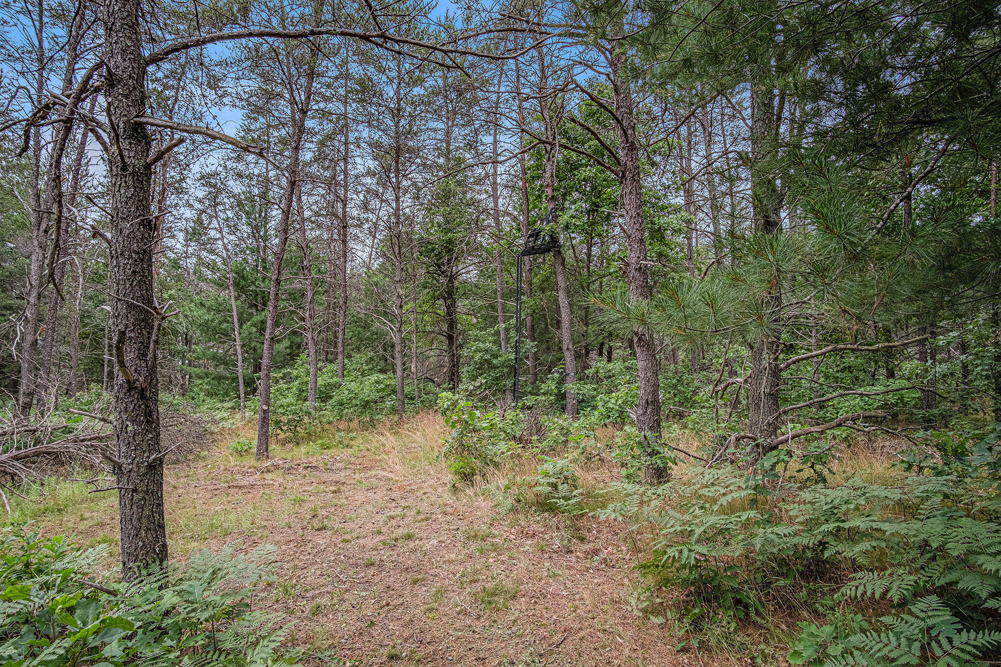 4177 South Michway Baldwin, MI 49304 - Photo 19 of 35 file_48