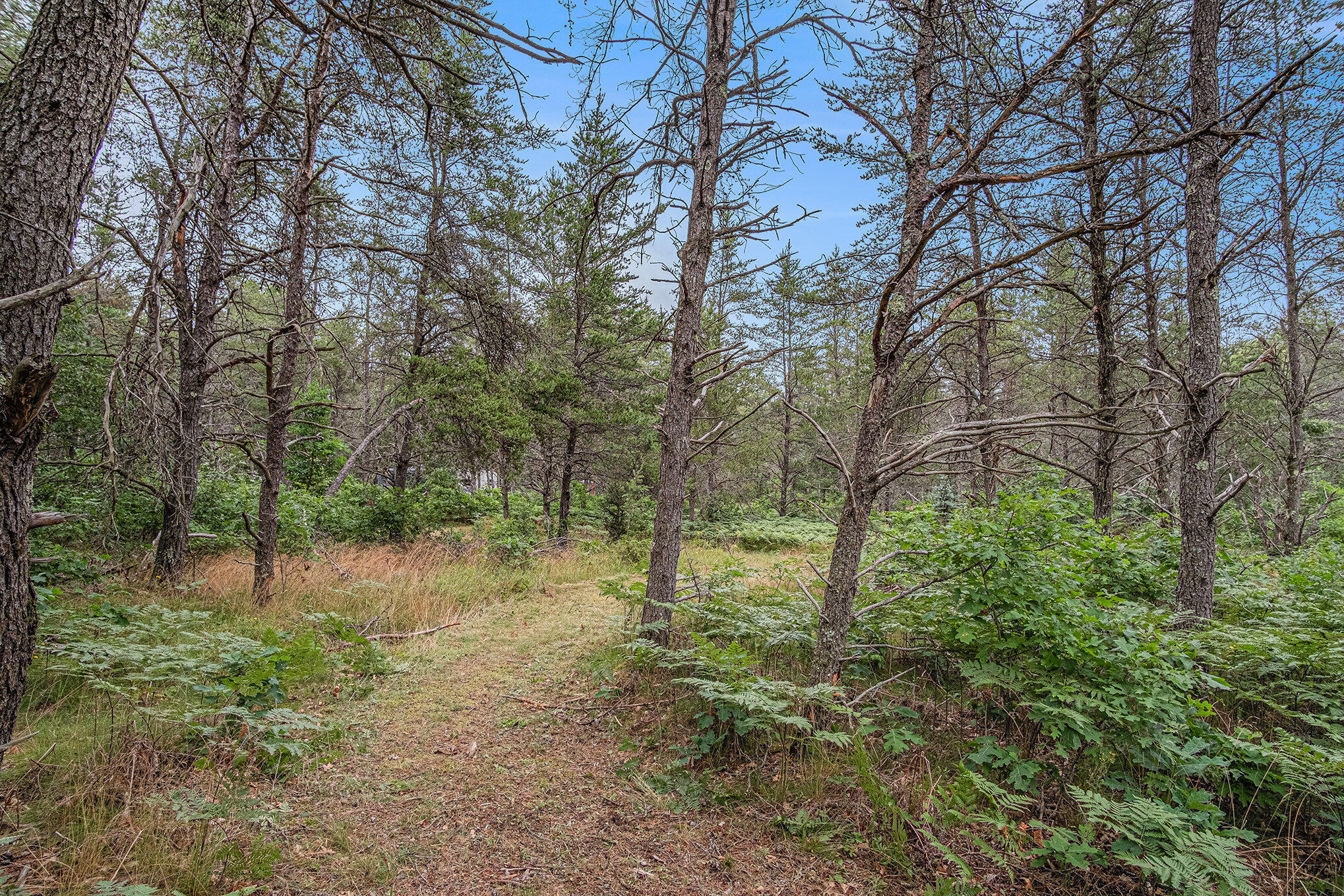 4177 South Michway Baldwin, MI 49304 - Photo 20 of 35 file_529