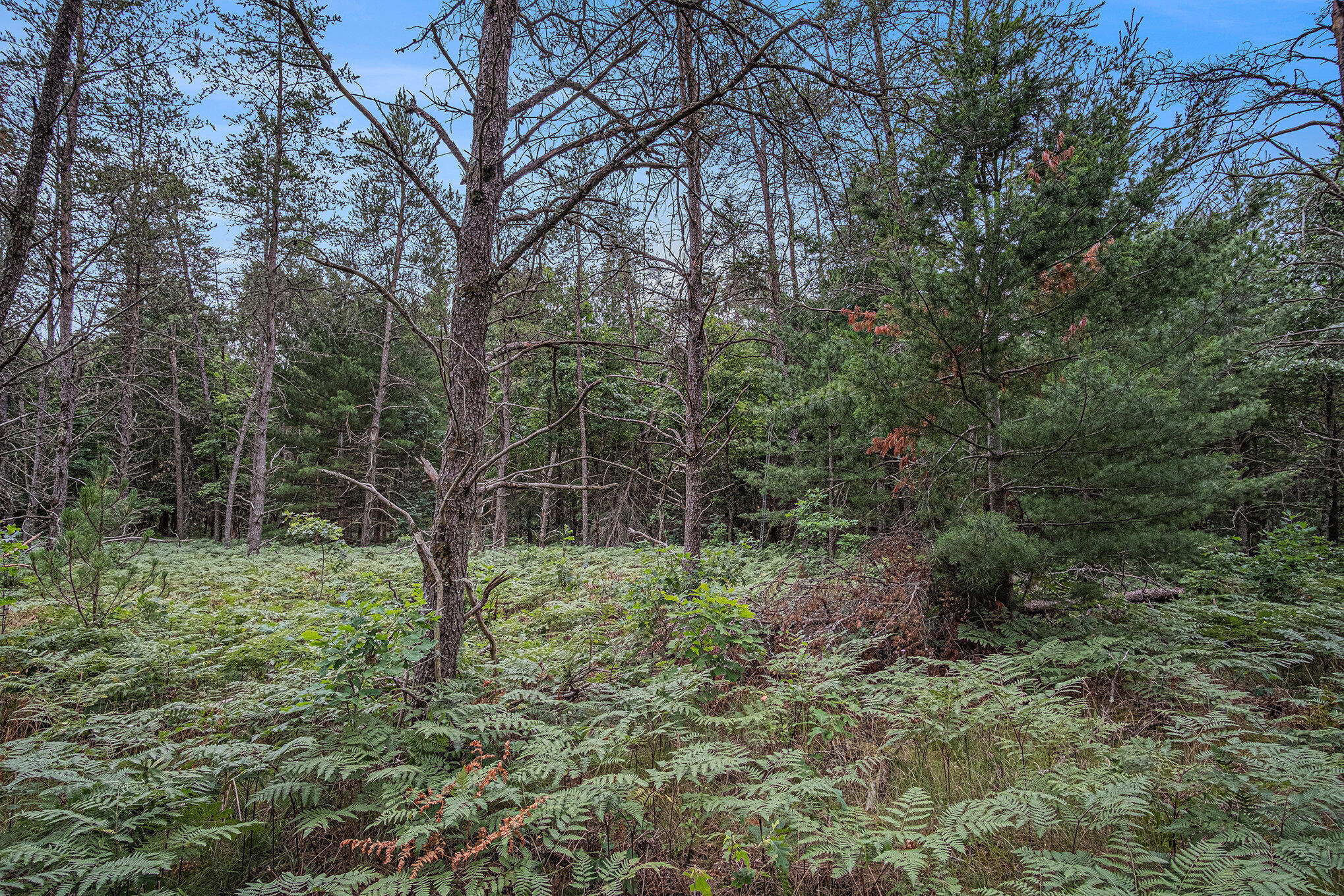 4177 South Michway Baldwin, MI 49304 - Photo 21 of 35 file_721