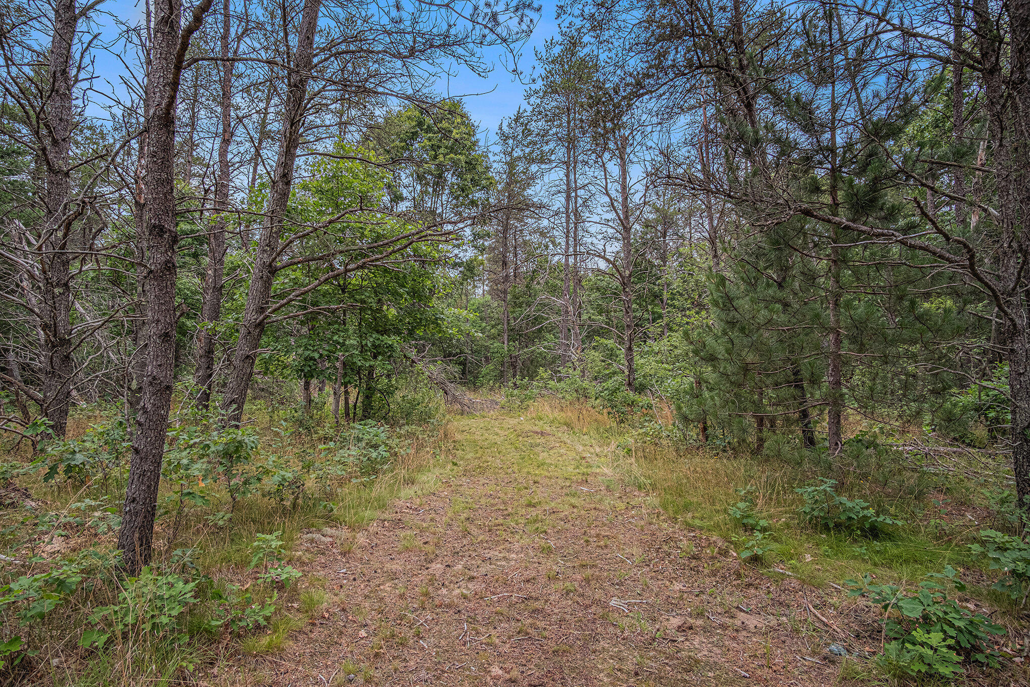 4177 South Michway Baldwin, MI 49304 - Photo 23 of 35 file_882