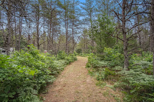 $59,500 | 4177 South Michway, Baldwin, MI 49304