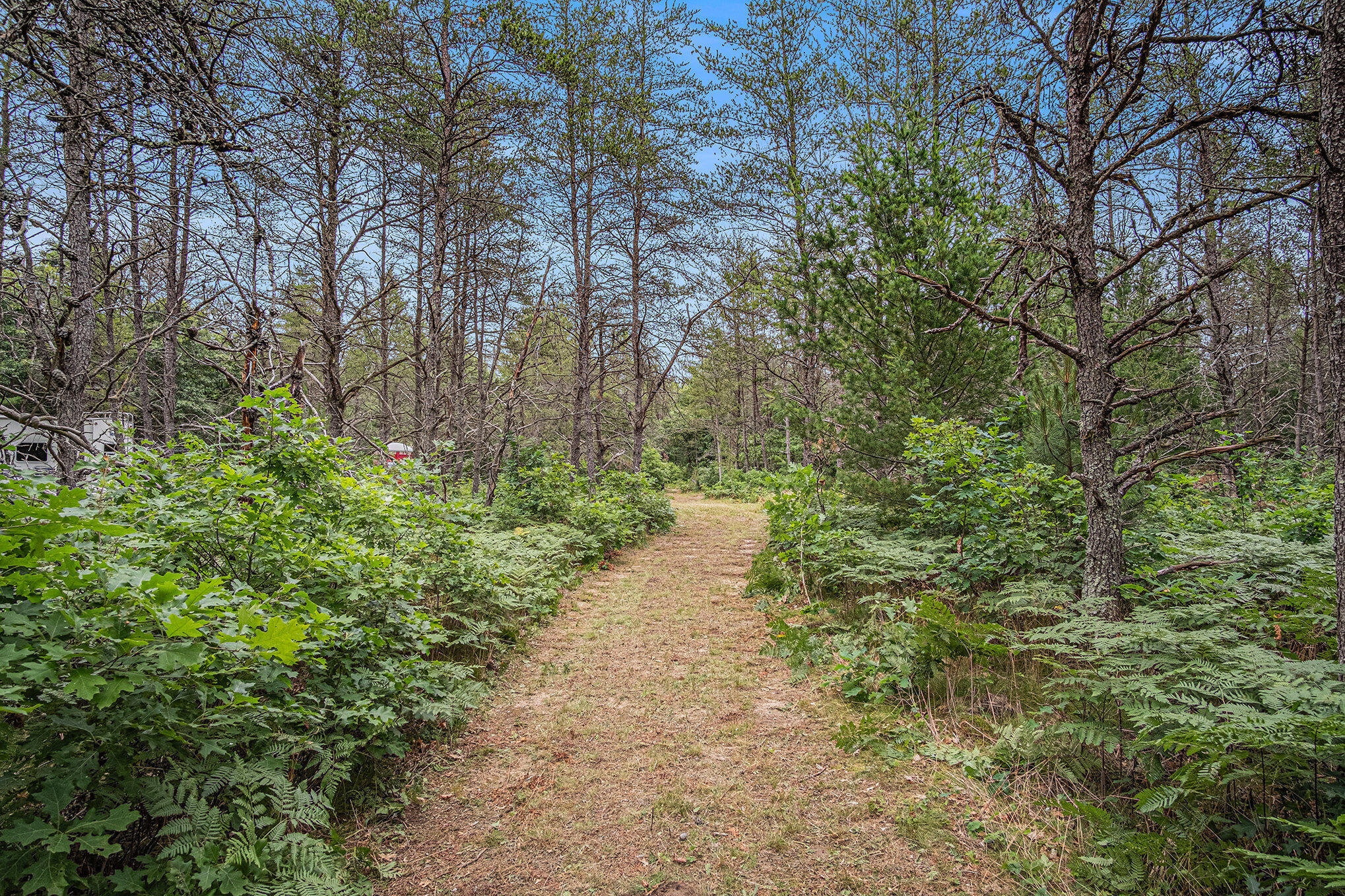 4177 South Michway Baldwin, MI 49304 - Photo 24 of 35 file_597