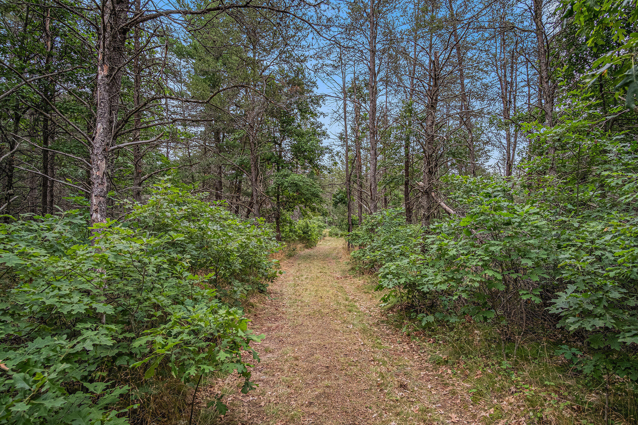 4177 South Michway Baldwin, MI 49304 - Photo 25 of 35 file_844