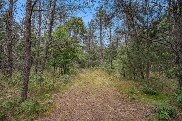 $59,500 | 4177 South Michway, Baldwin, MI 49304