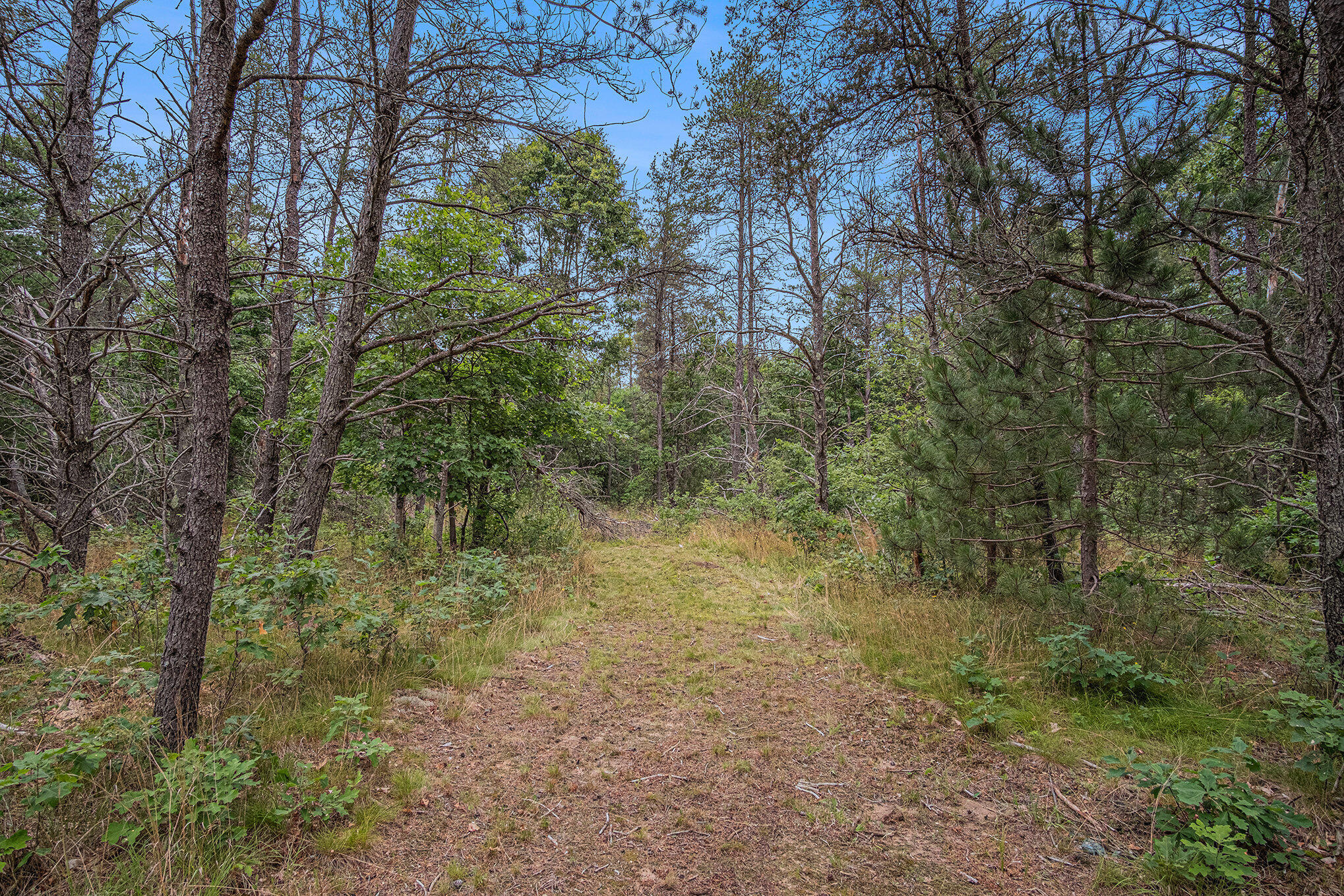 4177 South Michway Baldwin, MI 49304 - Photo 26 of 35 file_934