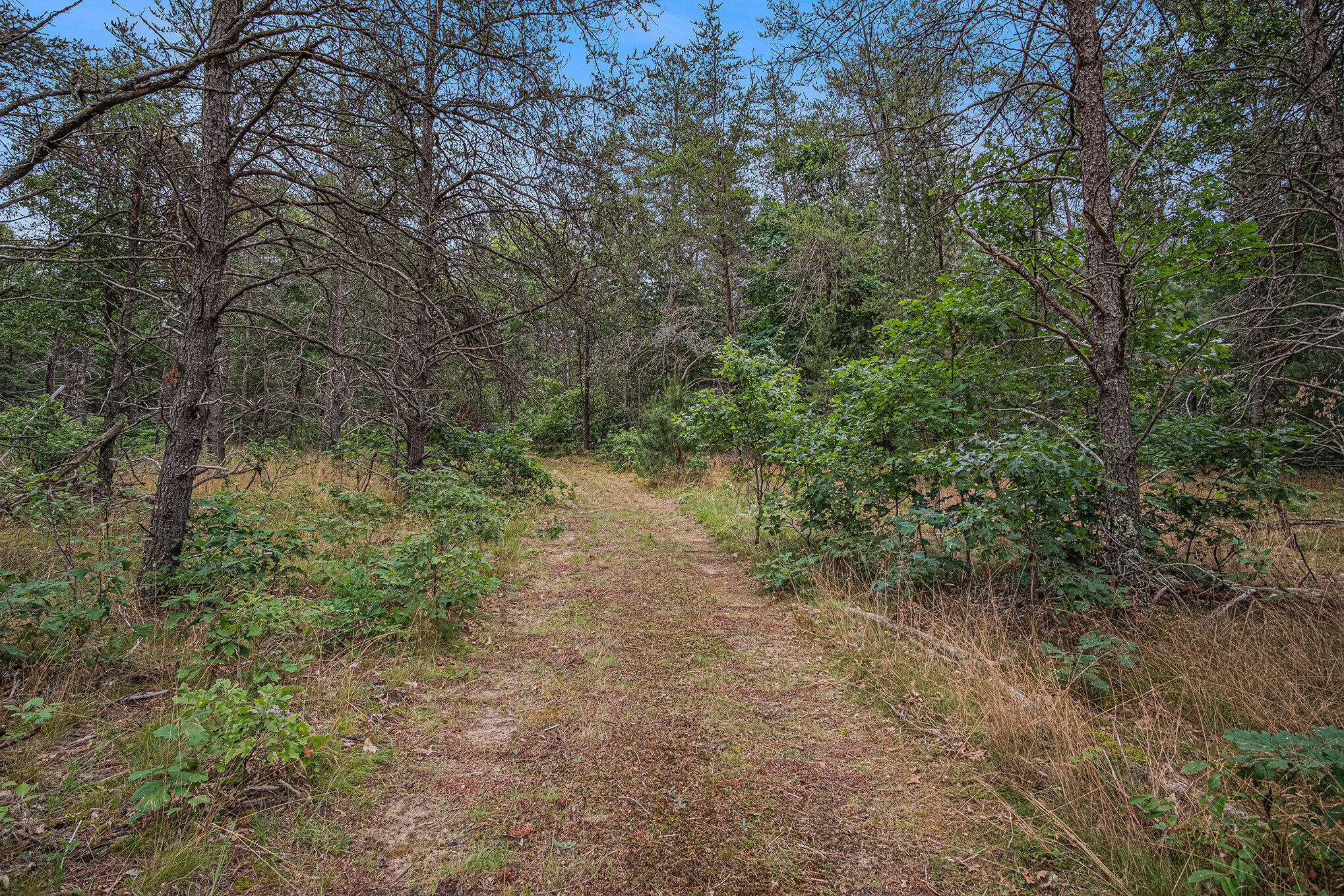 4177 South Michway Baldwin, MI 49304 - Photo 27 of 35 file_767