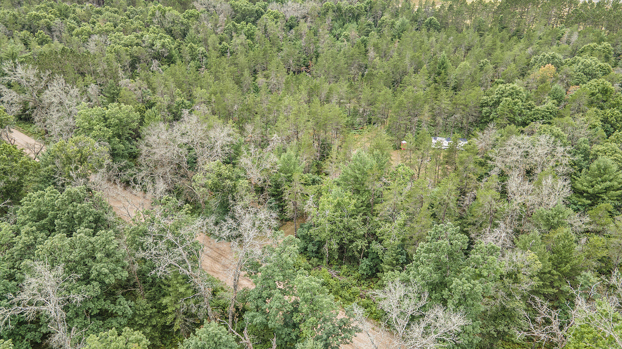 4177 South Michway Baldwin, MI 49304 - Photo 28 of 35 file_83