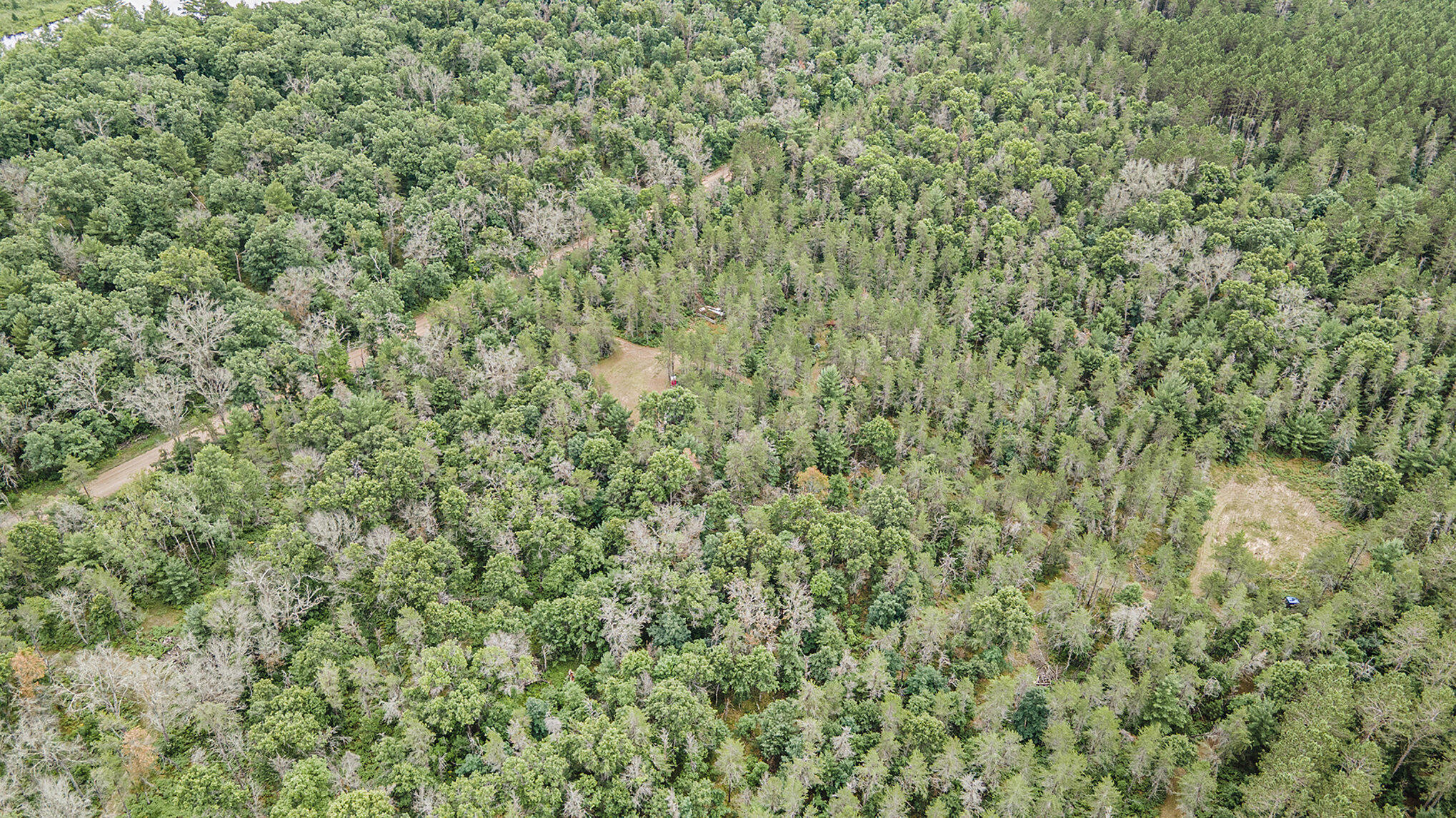 4177 South Michway Baldwin, MI 49304 - Photo 30 of 35 file_12