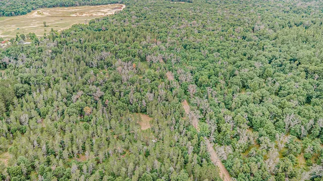 $59,500 | 4177 South Michway, Baldwin, MI 49304