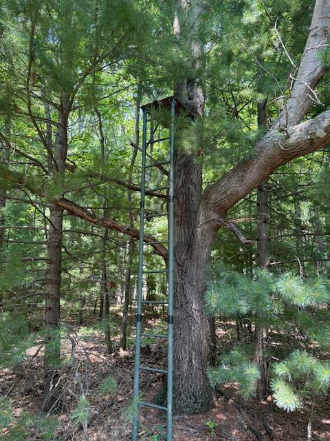 4177 South Michway Baldwin, MI 49304 - Photo 34 of 35 IMG_2723