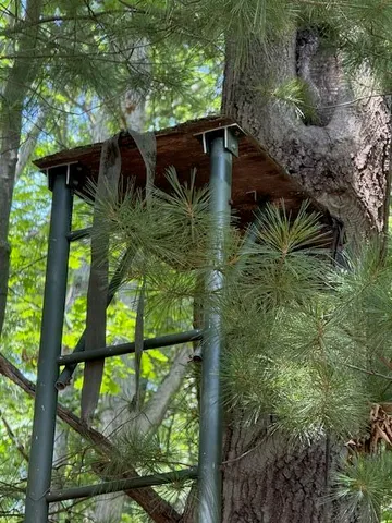 $59,500 | 4177 South Michway, Baldwin, MI 49304