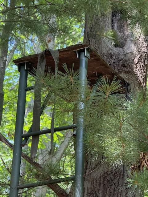 4177 South Michway Baldwin, MI 49304 - Photo 35 of 35 IMG_2724