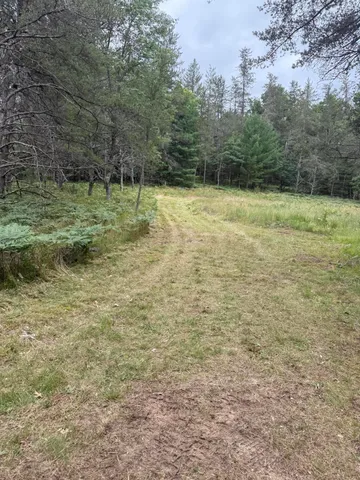 $59,500 | 4177 South Michway, Baldwin, MI 49304