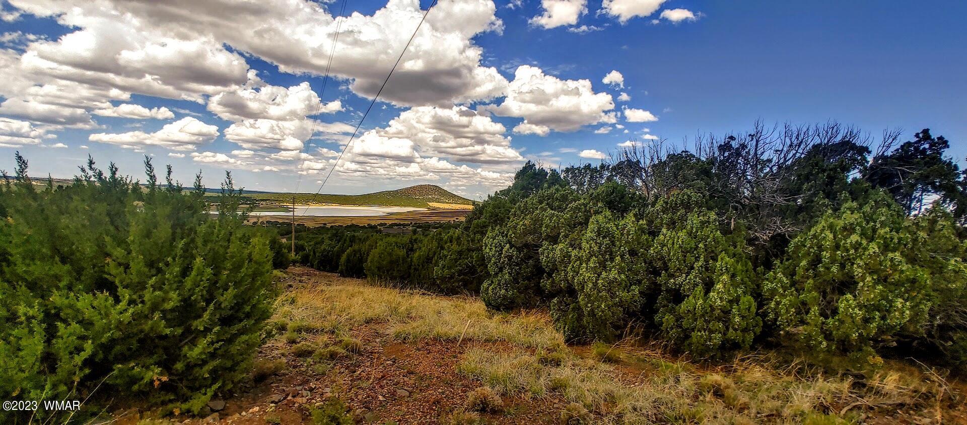 25 County Road 8145 Concho, AZ 85924 - Photo 2 of 10