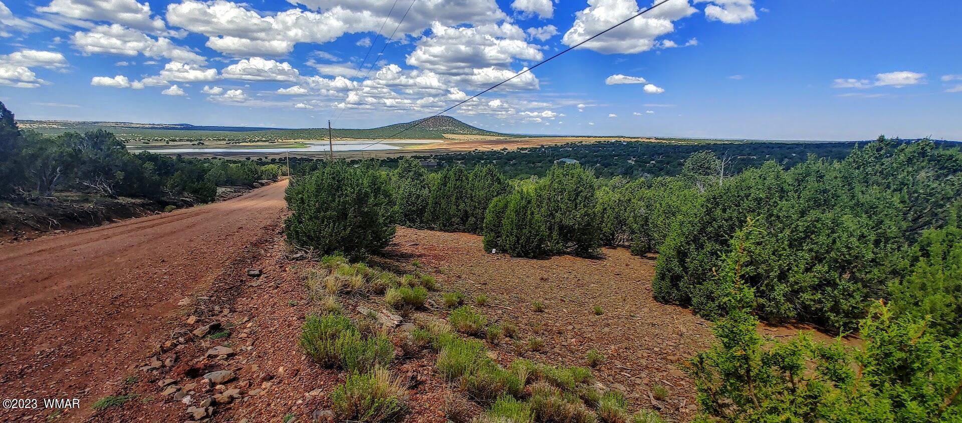 25 County Road 8145 Concho, AZ 85924 - Photo 3 of 10