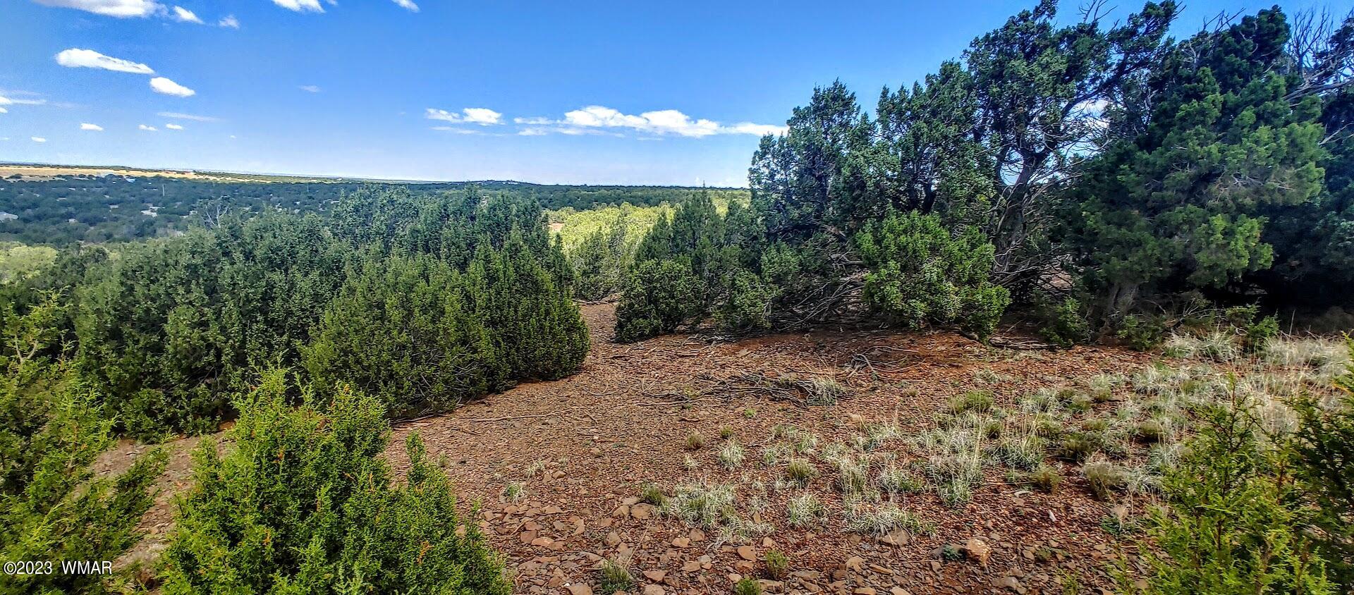 25 County Road 8145 Concho, AZ 85924 - Photo 4 of 10